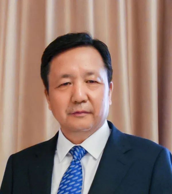 全国人大代表,特变电工董事长 张新