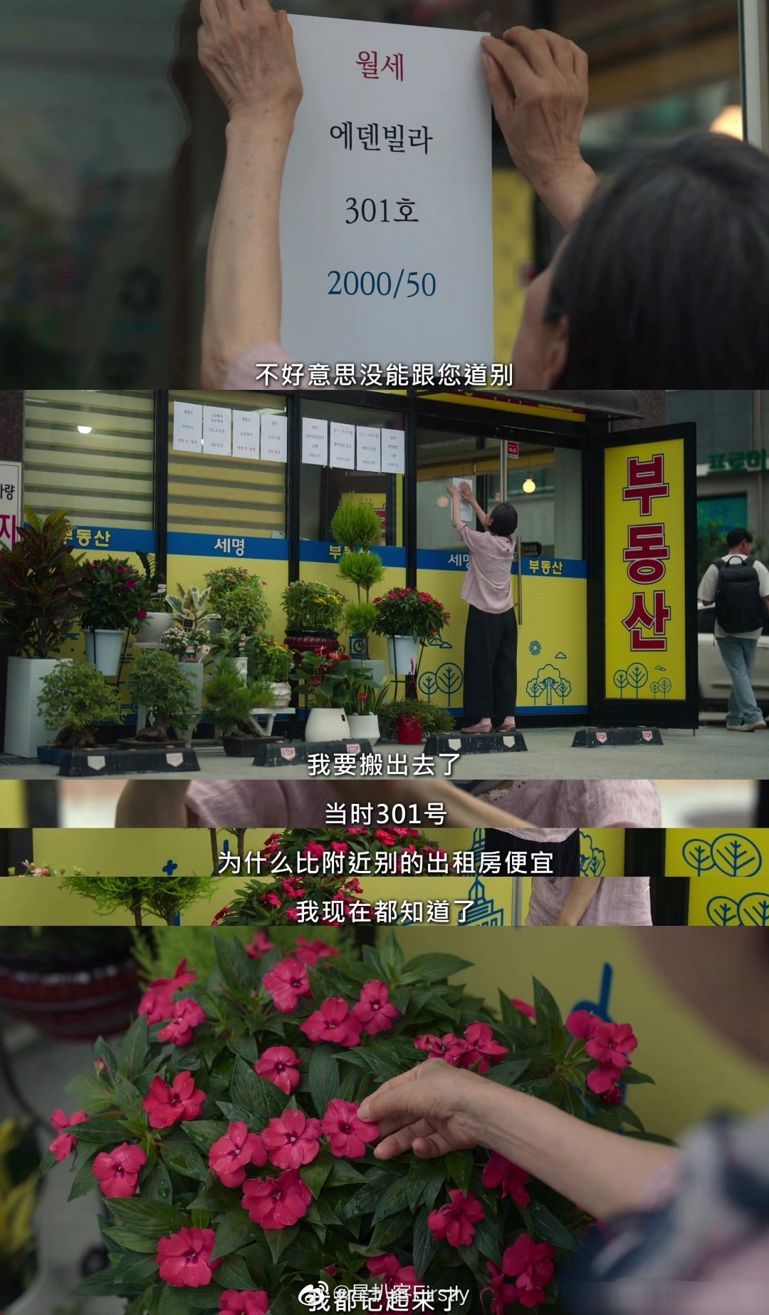 看文东恩和房东奶奶这段真的泪目了……