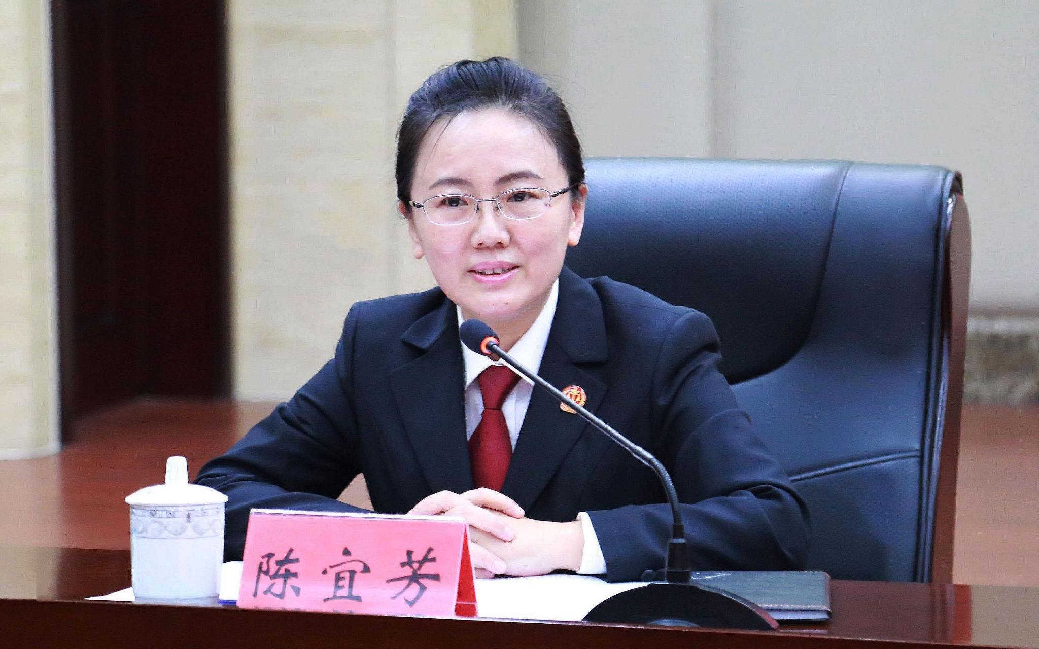 最高法民一庭庭长陈宜芳:将加强人身安全保护令执行