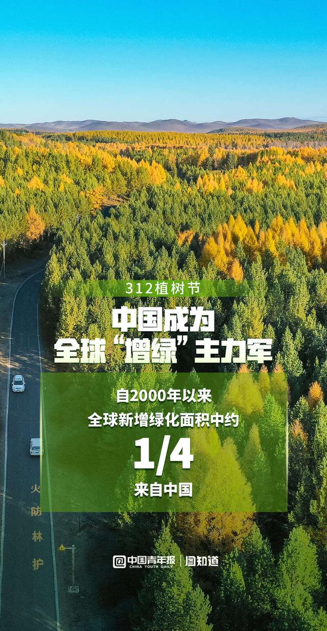 今天是植树节:为地球增添更多中国绿