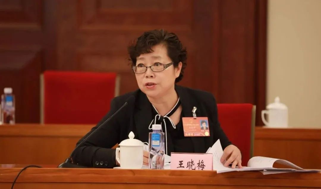 全国人大代表王晓梅:让法治为青春护航|未成年人|全国人大代表|王晓梅