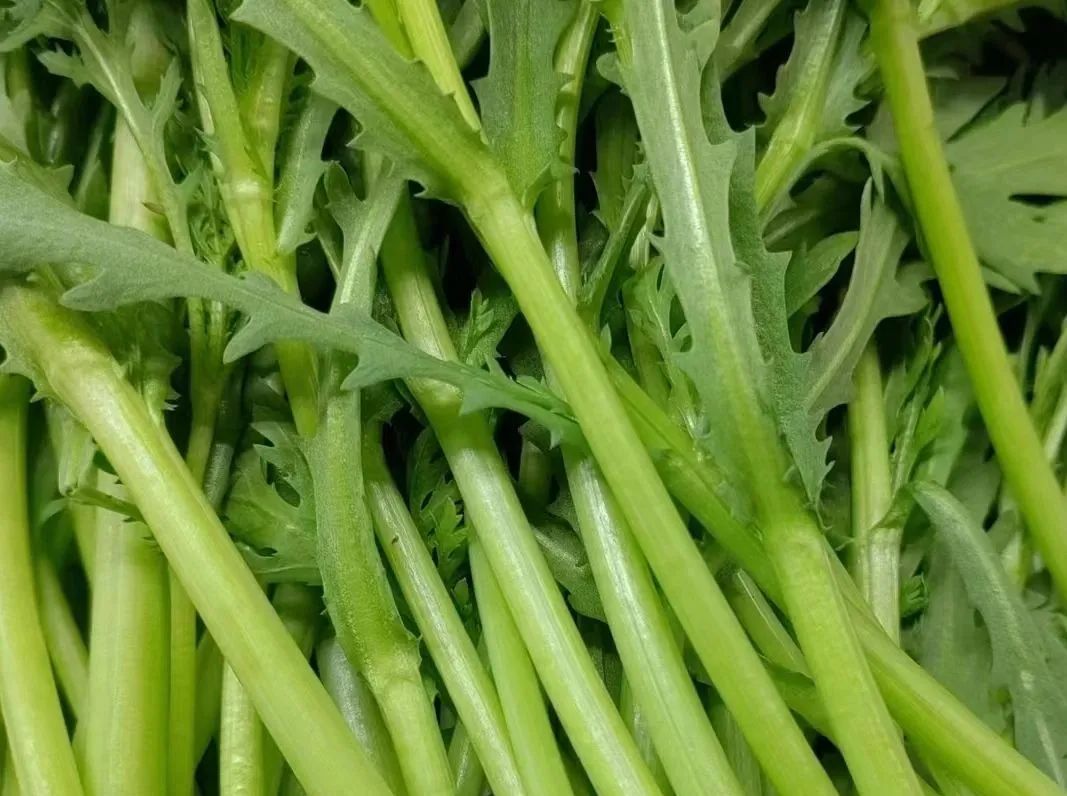 春天的味道丨茼蒿:貌不惊人的美味佳肴__财经头条