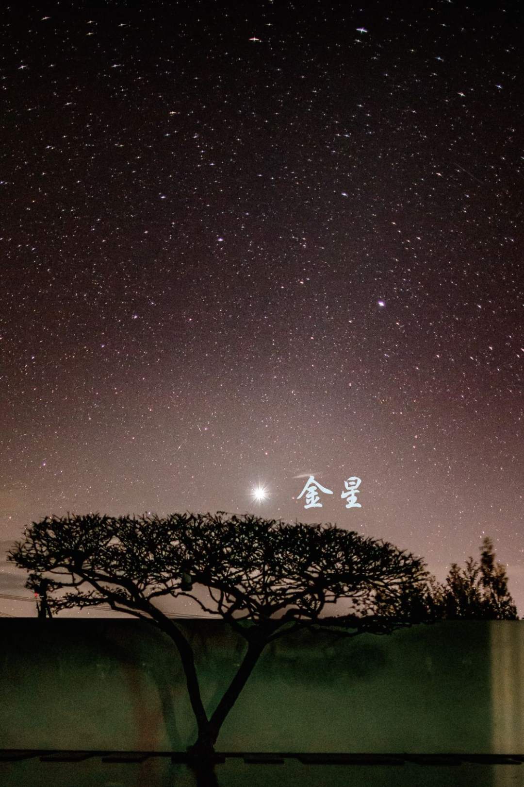 作为晨星出现在天空中的金星︱兹基派德