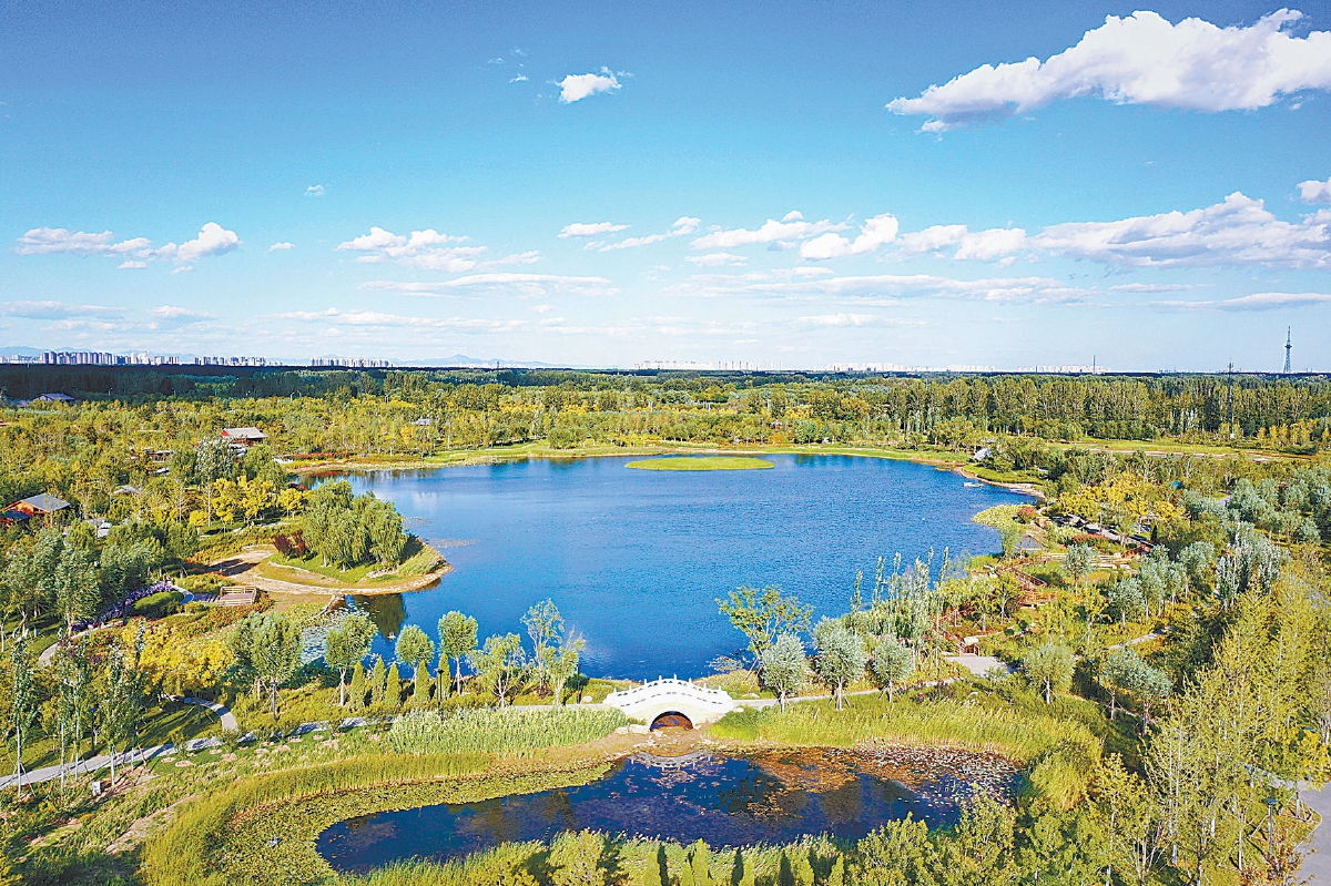 新时代首都发展巡礼｜万亩绿心 葱茏绽放