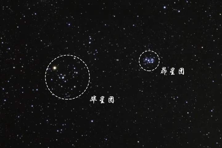 昴星团位置图片