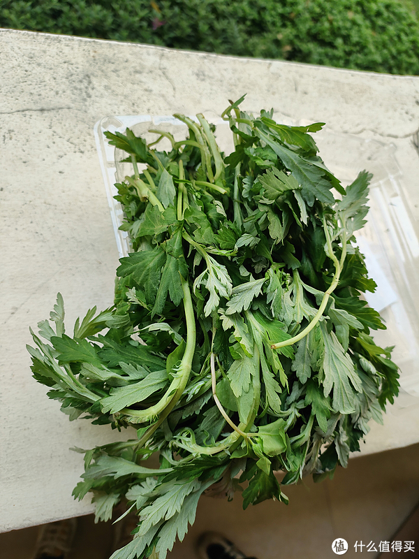 新鲜艾叶煎鸡蛋,让人无法自拔的美食|鸡蛋|艾叶|锅_新浪新闻