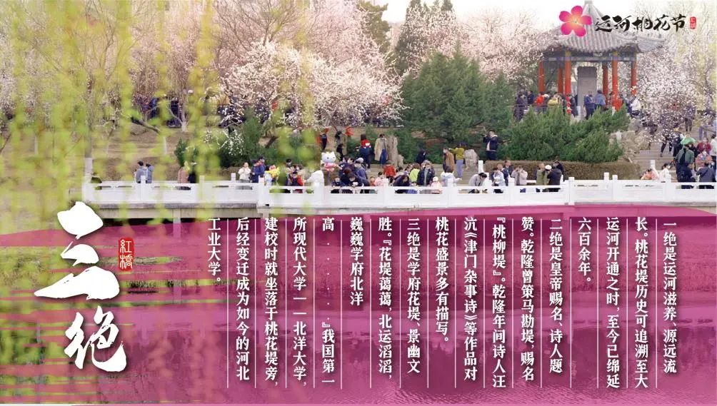 攻略 | 桃花堤正式开放!运河桃花节怎么逛?看这篇就够了!