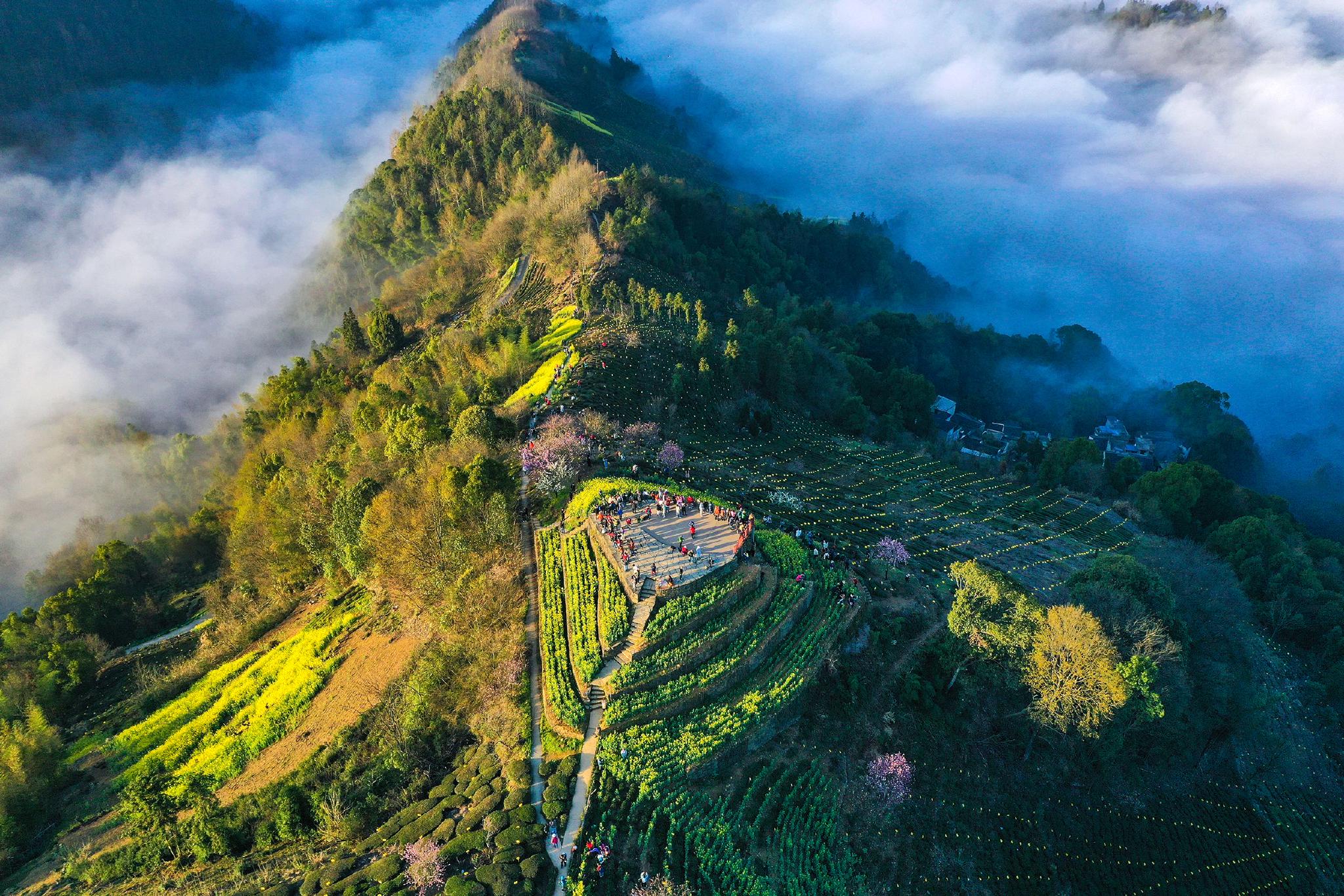 安徽歙县:云绕山峦春色美|云海|安徽省|黄山市_新浪新闻