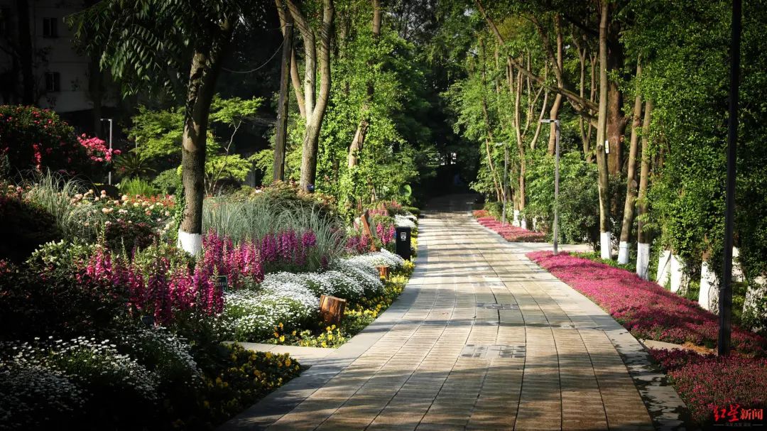 植物园南大门道路花径
