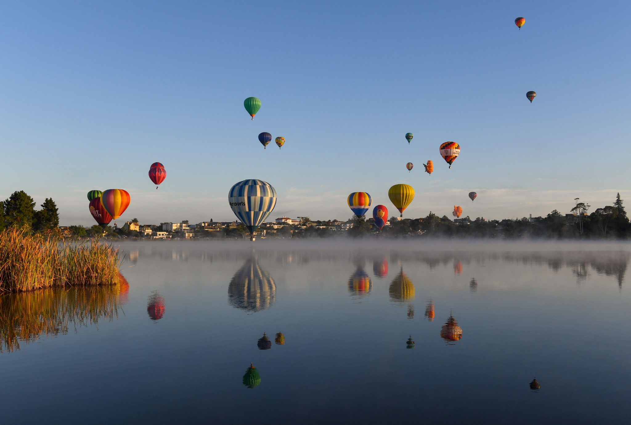 新西兰举行怀卡托热气球节|热气球|新西兰|汉密尔顿_新浪新闻