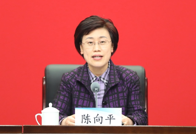 陈向平 资料图陈向平出生于1970年11月,河南滑县人,研究生学历,经济学