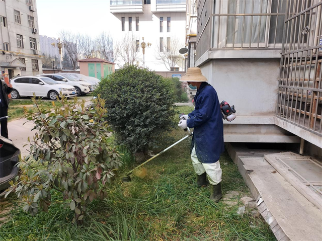 如何清除XP系统的近期访问的文档和网站缓存文件