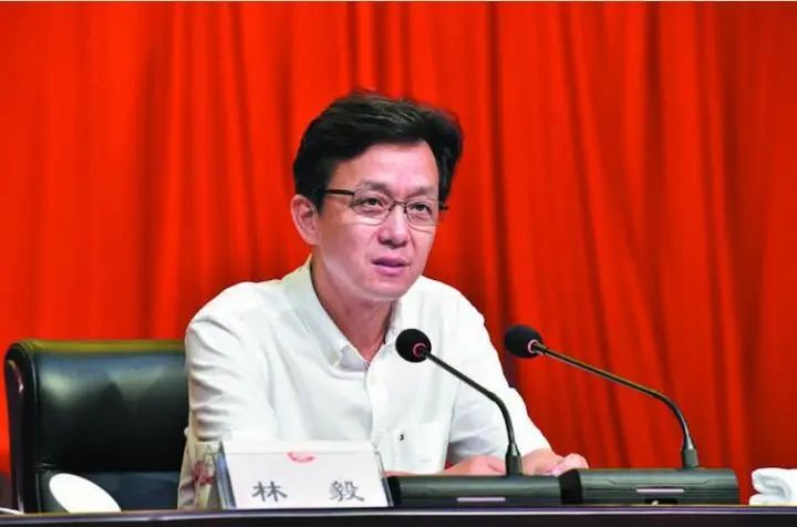 原义乌市委书记林毅被查_新浪财经_新浪网