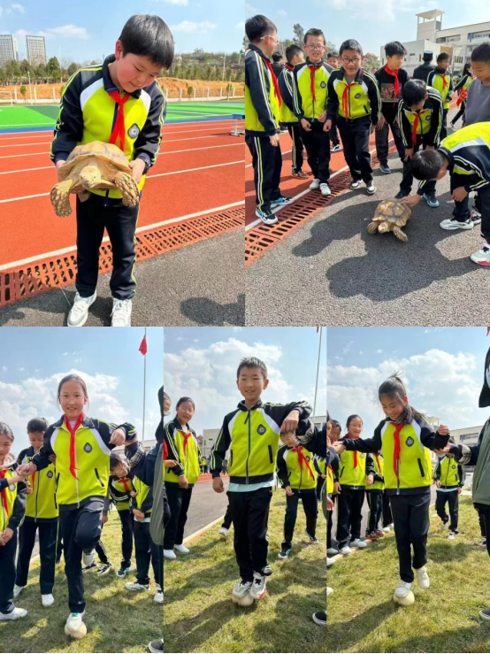 爱护野生动物 共建生态家园——青云小学开展保护生物多样性科普知识进校园活动插图22