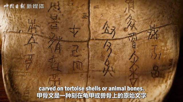 龟背兽骨上的文明印记|甲骨文_新浪新闻