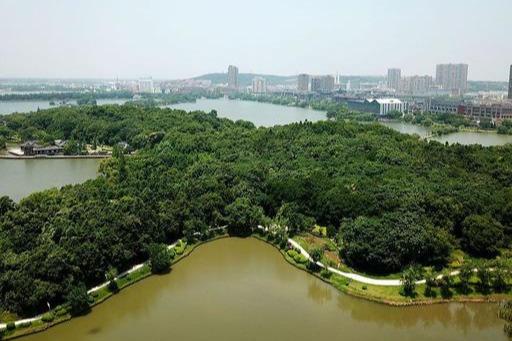 铜陵品茶600左右的价位