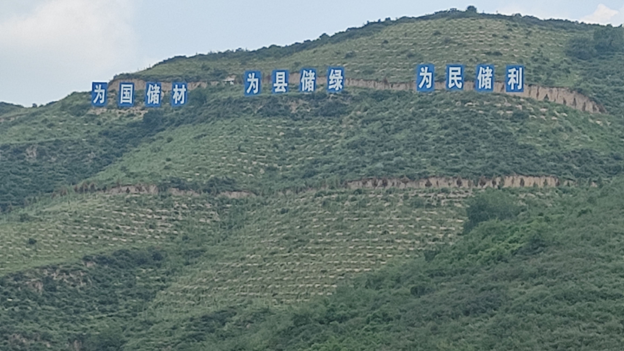 陕西省延安市志丹县国储林基地.国家林草局供图