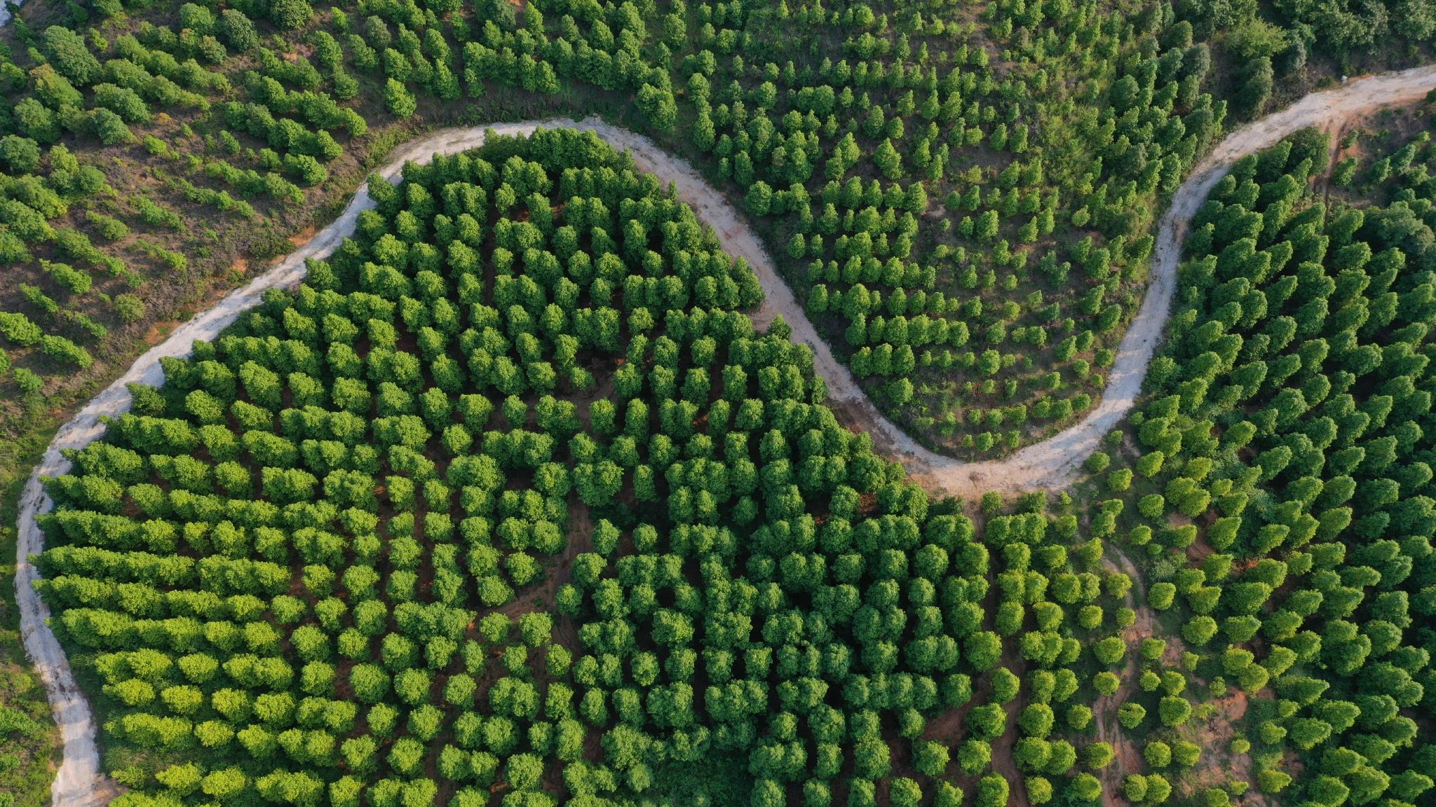 国家林草局供图