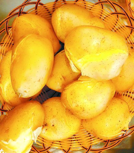 陇上土豆地图|土豆|酸菜_新浪新闻