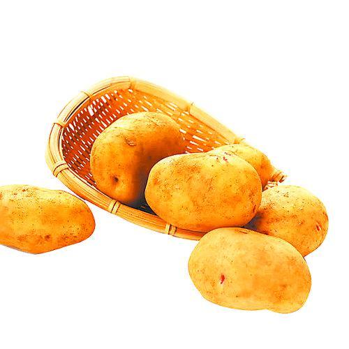 陇上土豆地图|土豆|酸菜_新浪新闻