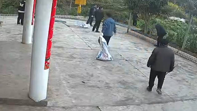 乡政府回应未提前通知捕杀村民的狗：发现狂犬病，3年内不能养犬|狗|狂犬病_新浪新闻