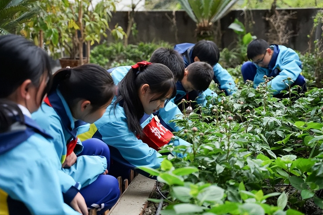 成都市龙泉驿区双槐中学校便是这样一所学校,不同于其他学校开展的