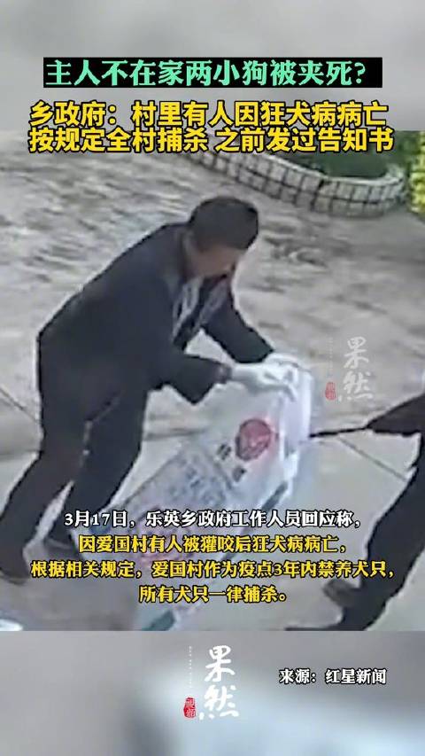 乡政府回应村民家两只狗被捕杀 ：发现1例狂犬病，按规定所有犬只一律捕杀|狗|狂犬病_新浪新闻