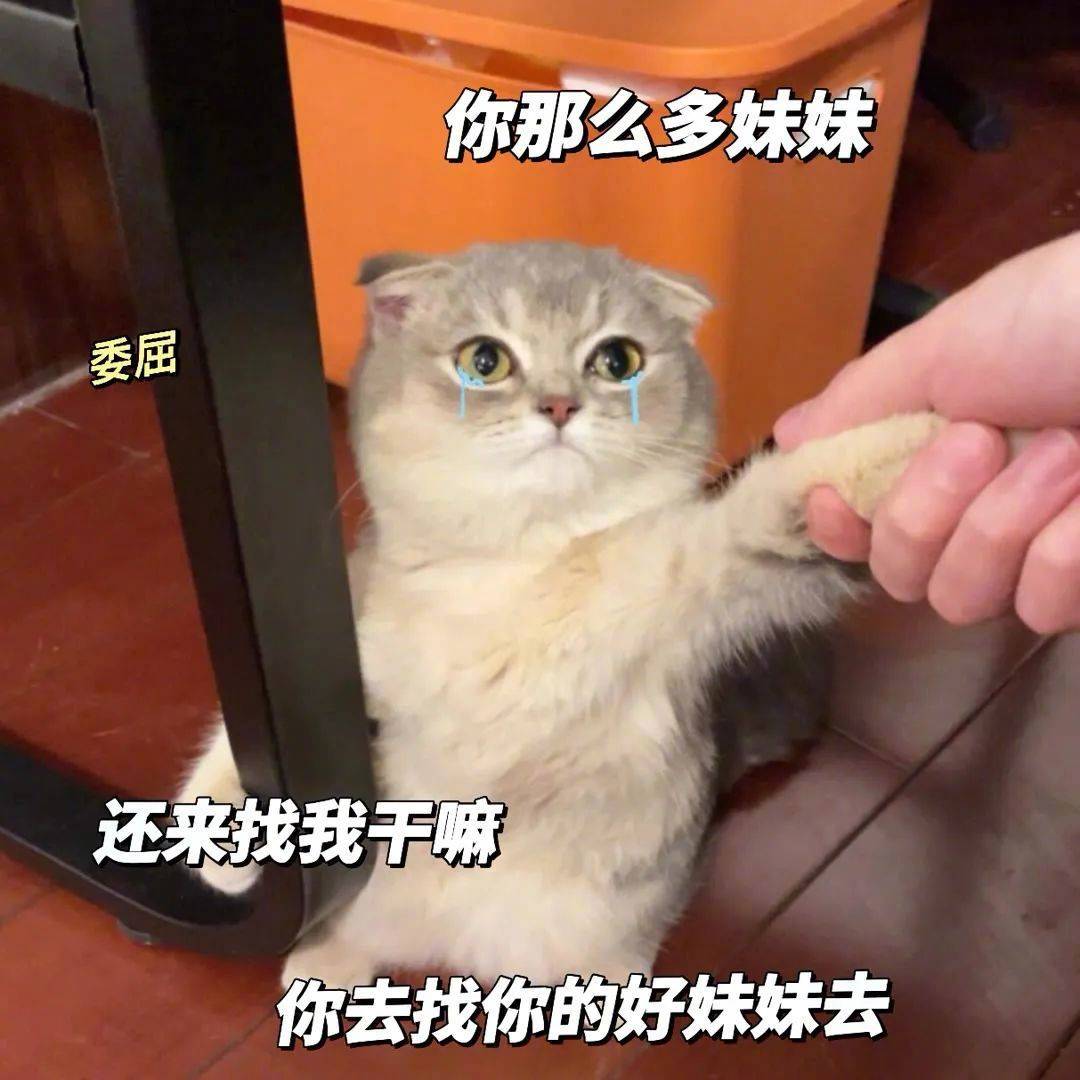 表情包 | 怎么 你打我啊 你那么虚 拿图点赞、吱声|表情包_新浪新闻