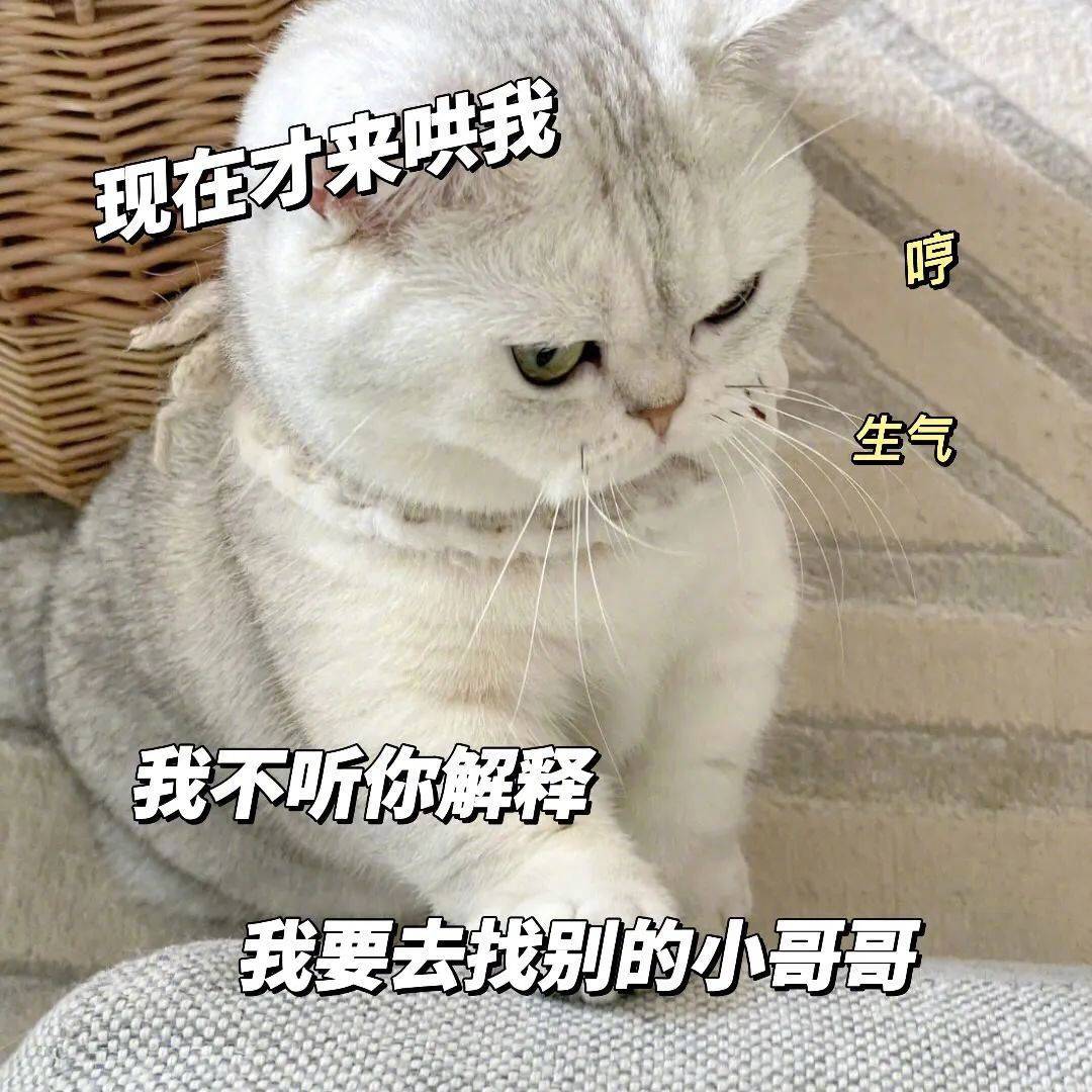 表情包 | 怎么 你打我啊 你那么虚 拿图点赞、吱声|表情包_新浪新闻
