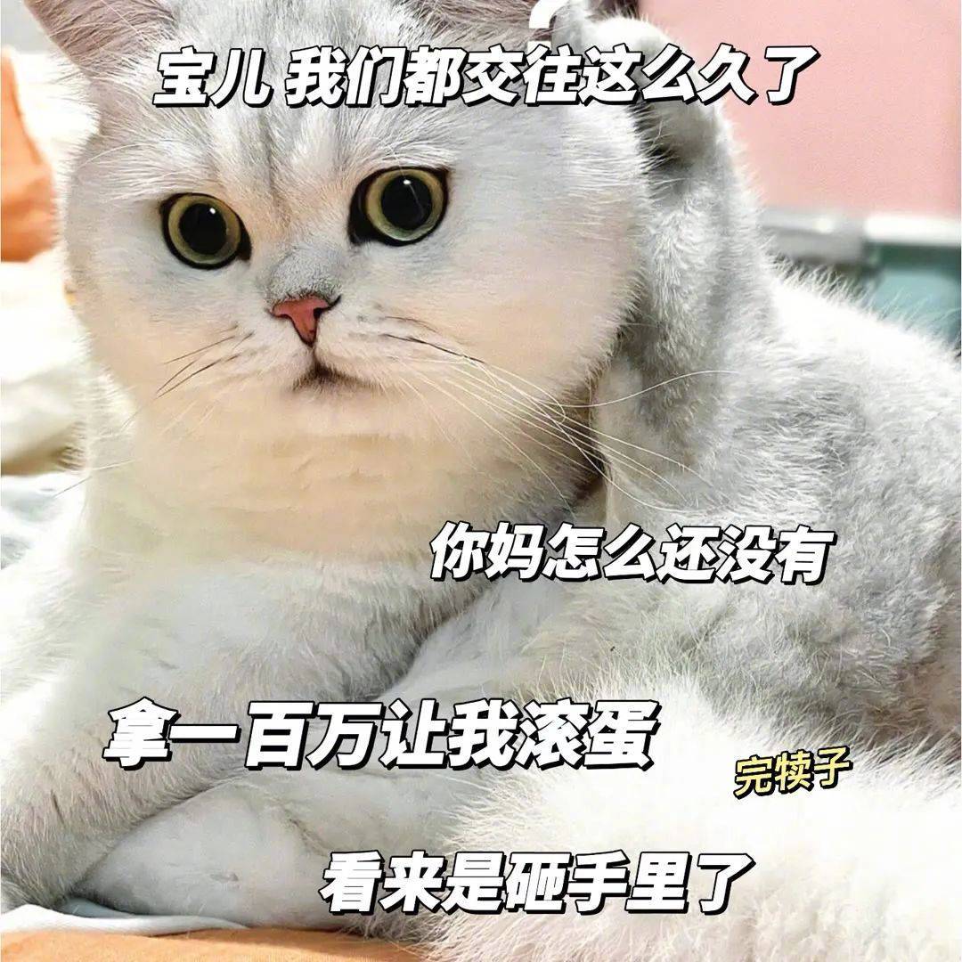表情包 | 怎么 你打我啊 你那么虚 拿图点赞、吱声|表情包_新浪新闻