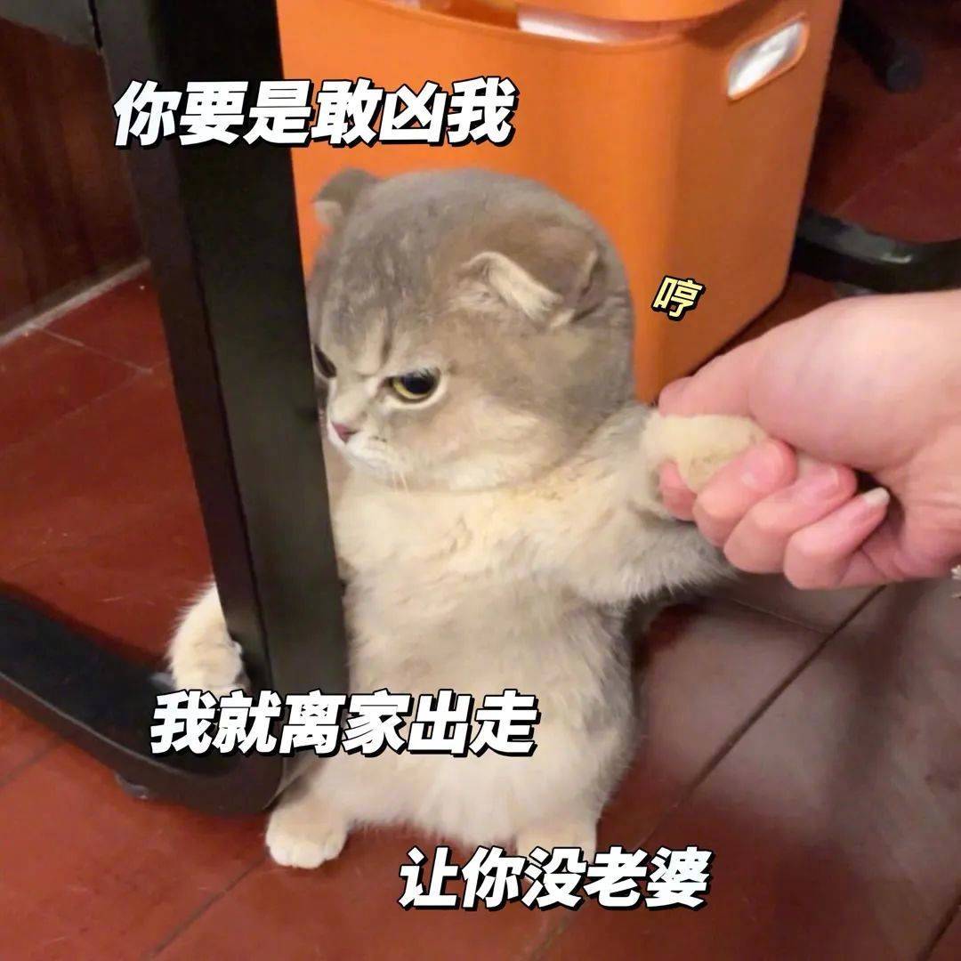 表情包 | 怎么 你打我啊 你那么虚 拿图点赞、吱声|表情包_新浪新闻
