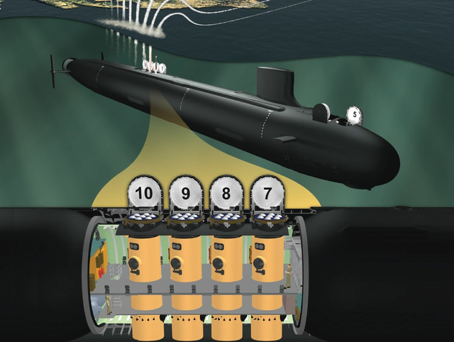 “弗吉尼亚”级Bolck5型核潜艇装备了新的声呐设备和4个“弗吉尼亚载荷模块”（VPM）。
