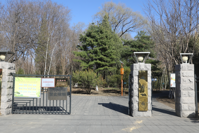 实拍~"林海雪莲"在怀柔城南公园盛开!_新浪财经_新浪网