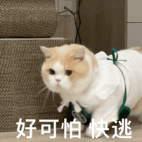 表情包 | 好可怕 快逃 拿图点赞、吱声|表情包_新浪新闻