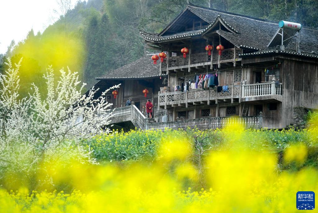 吊脚楼古寨春满园