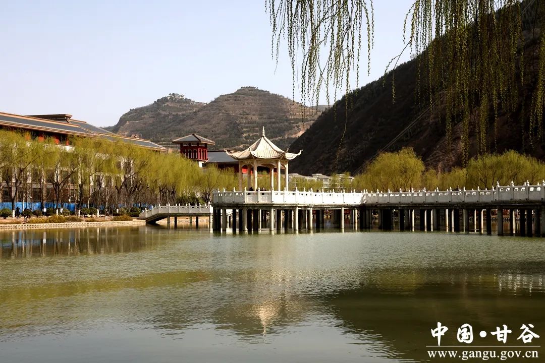 天水品茶联系方式wx