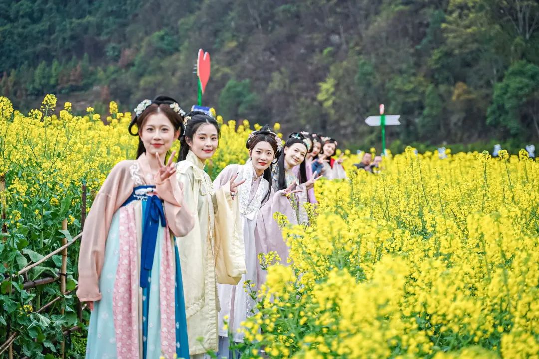 等你来入画2023年泸溪大陂流第五届油菜花艺术节盛大开幕