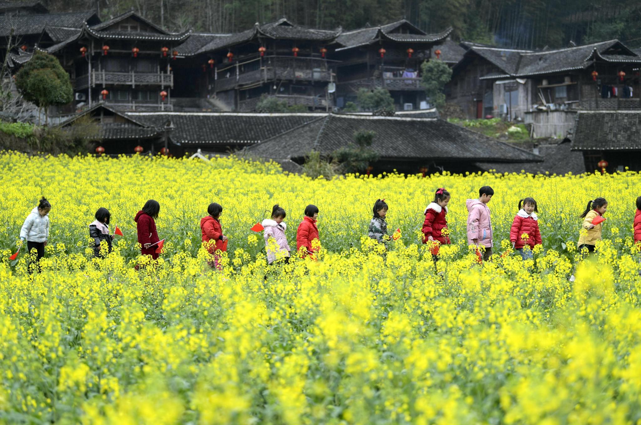 吊脚楼古寨春满园|湖北省|油菜花|花海_新浪新闻