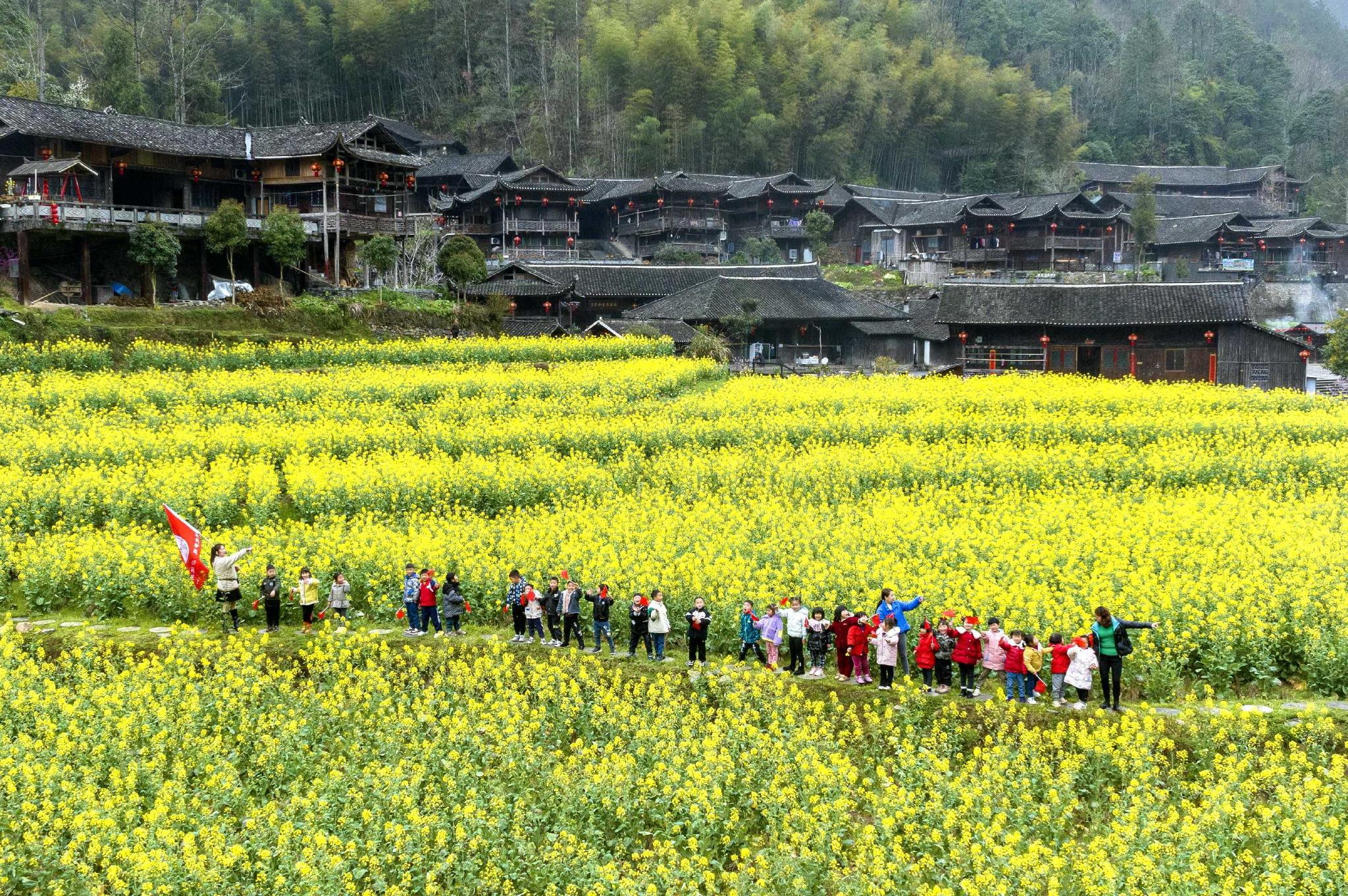 吊脚楼古寨春满园|湖北省|油菜花|花海_新浪新闻