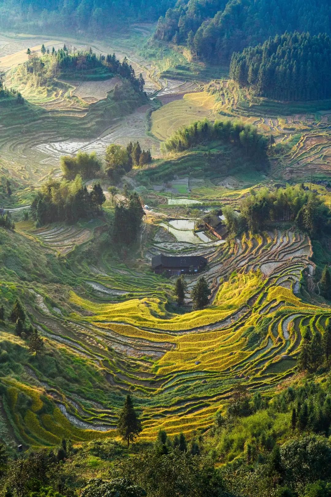 梯田田田田田田……|梯田_新浪财经_新浪网