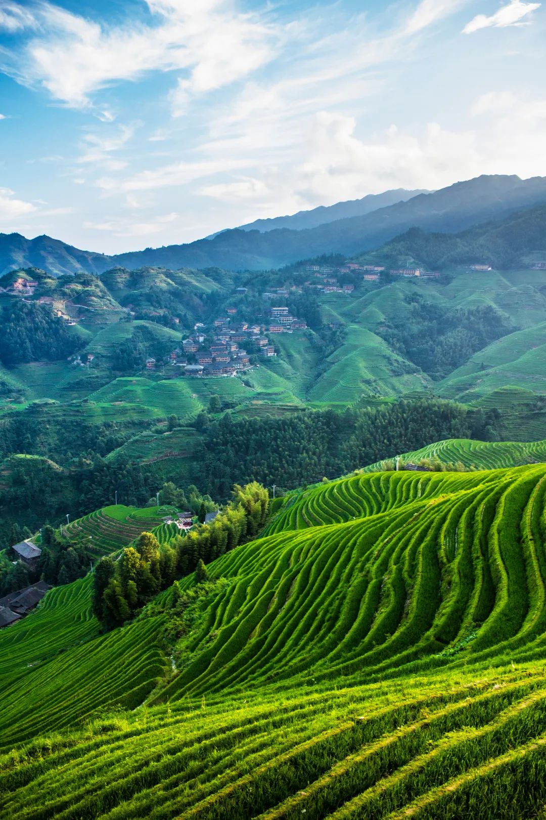 梯田田田田田田……|梯田_新浪财经_新浪网