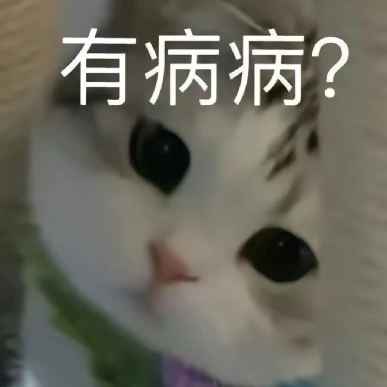 二手中巴车19座出售