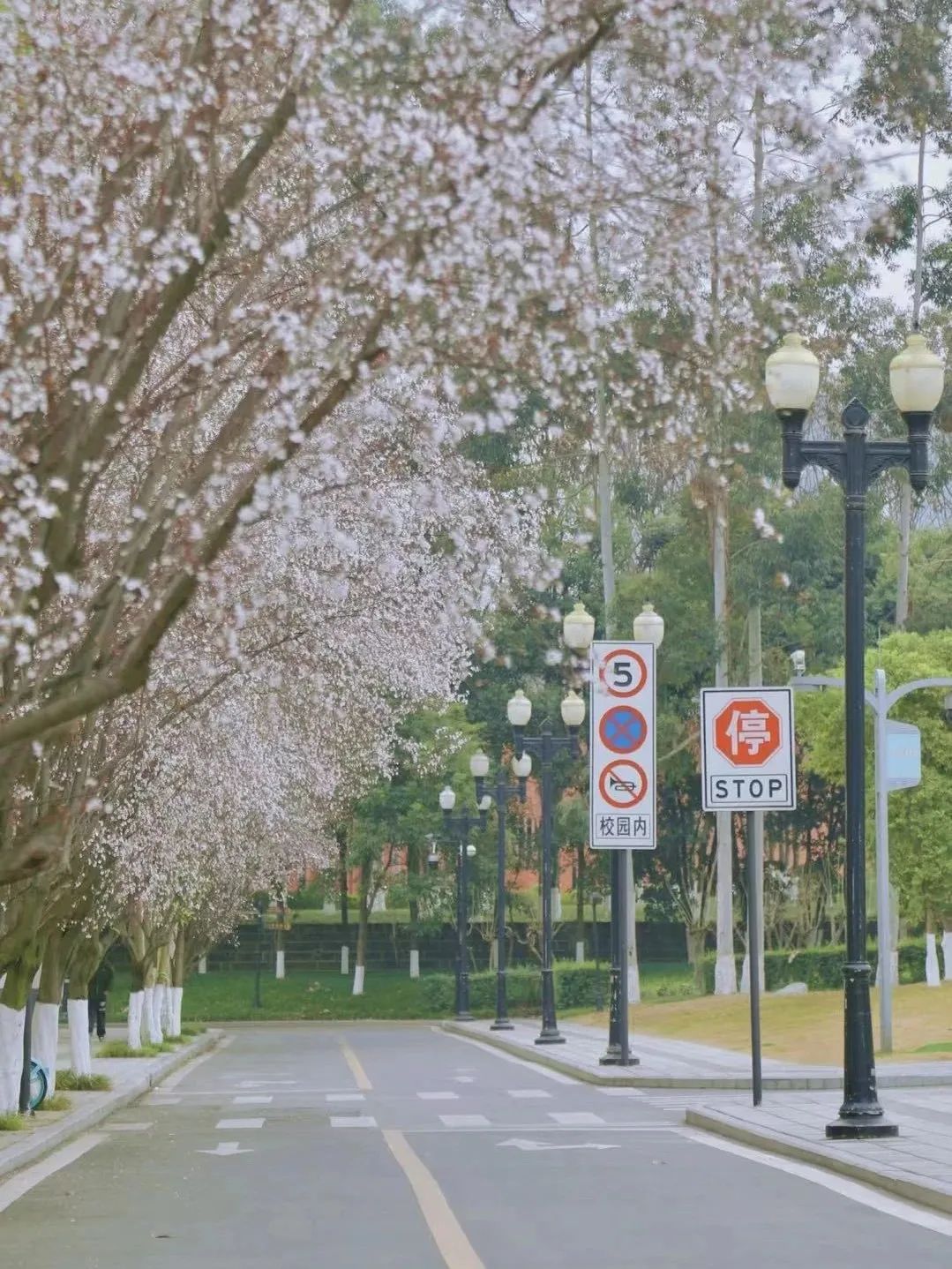 学到了（四川水利职业技术学院）2020四川水利职业技术学院单招录取 第39张