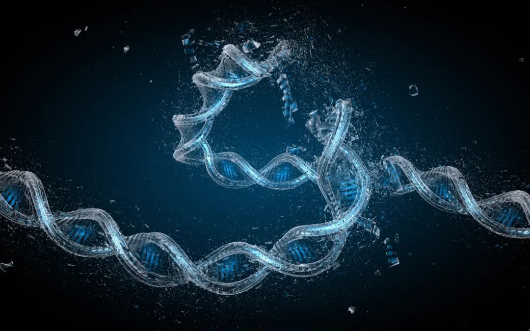 《细胞研究》:科学家首次证实,阿司匹林能促进DNA双链断裂高保真修复丨科学大发现