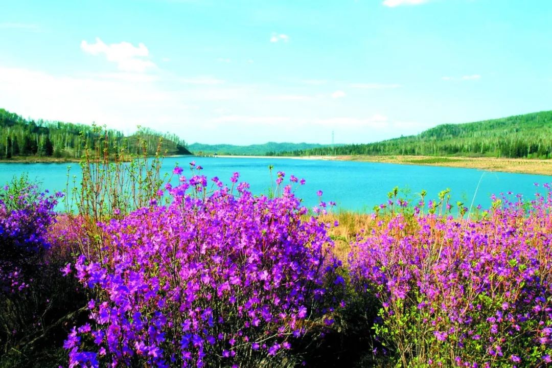 伊春市汤旺县汤旺河林海奇石景区