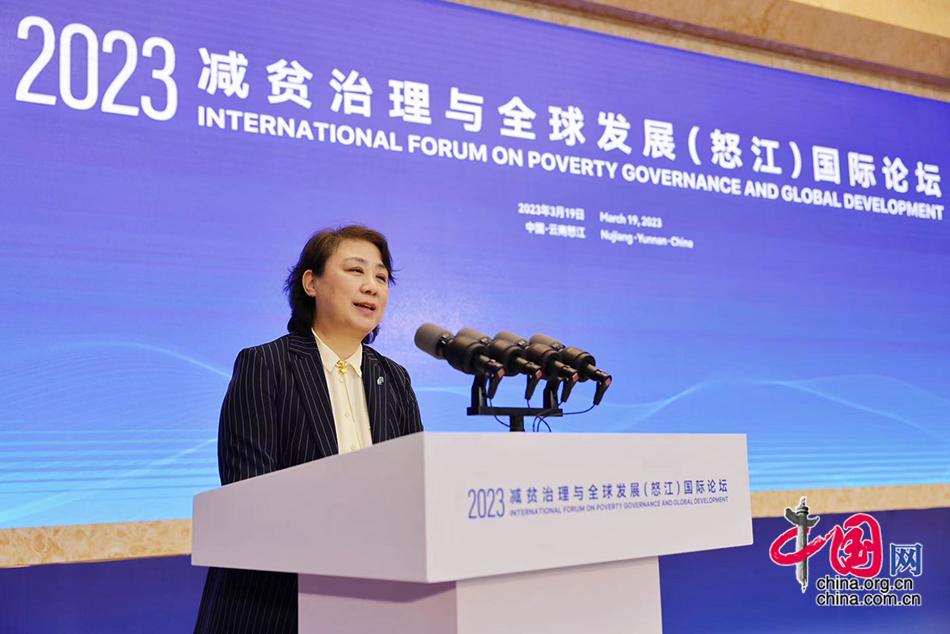 中国互联网发展基金会秘书长杨春艳进行大会演讲.人民画报社 徐讯 摄