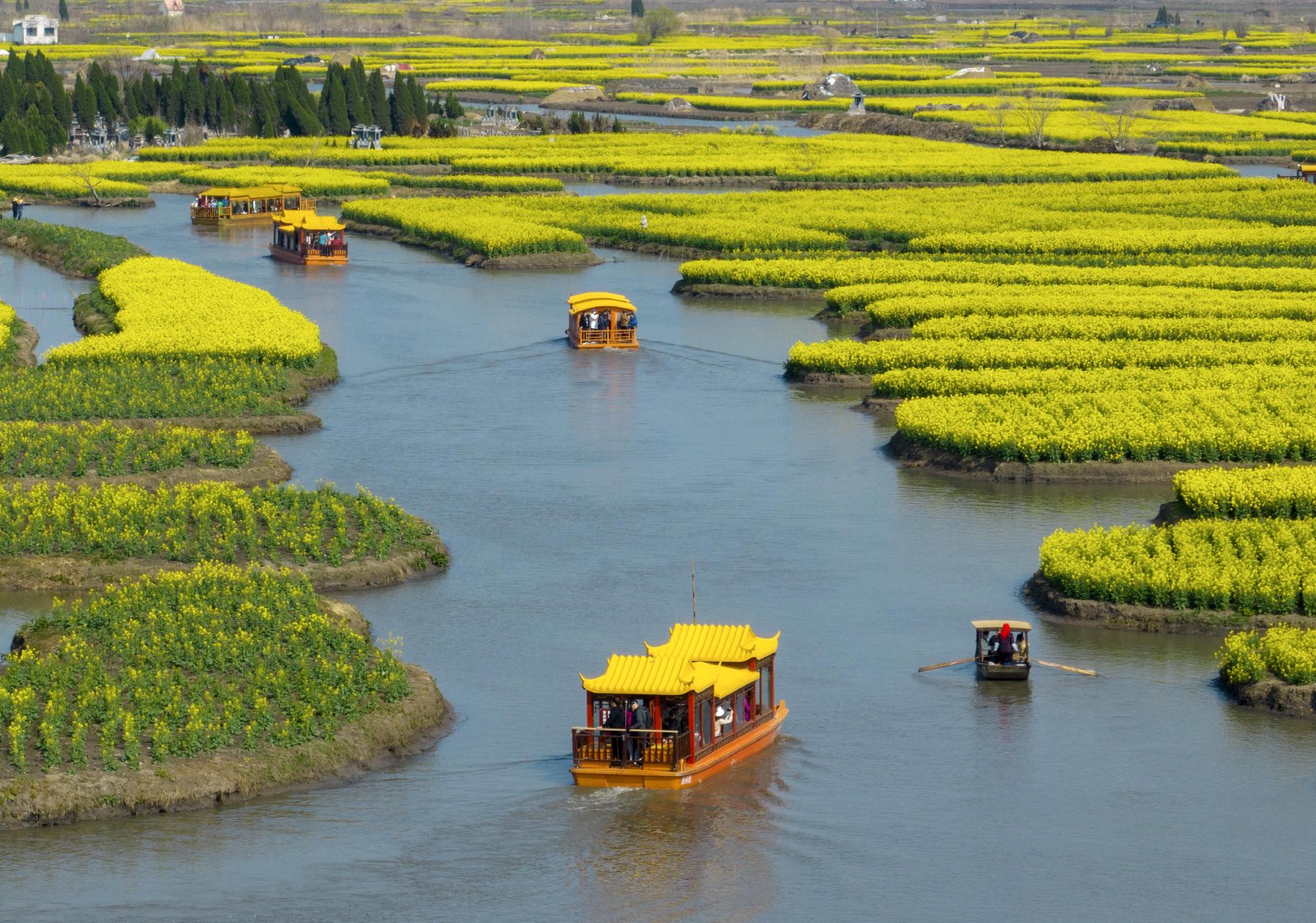 千垛花海画中游__财经头条