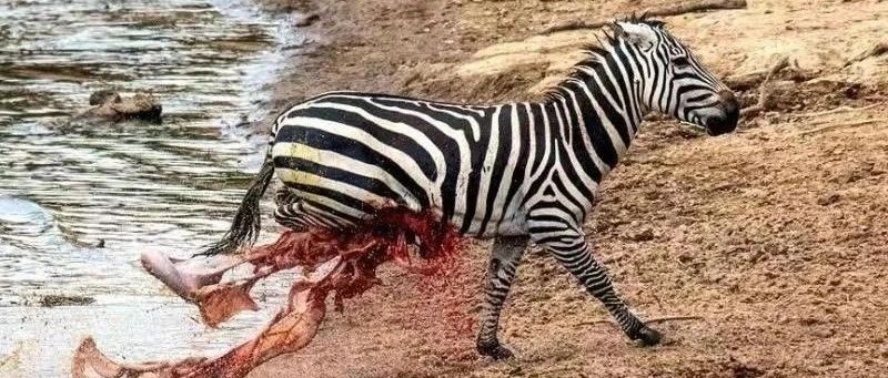 洪灝｜瑞信没了，风险还在