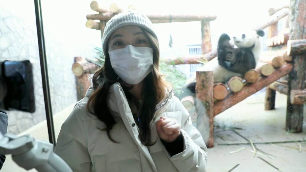 开启友谊、合作与和平之旅休闲区蓝鸢梦想 - Www.slyday.coM