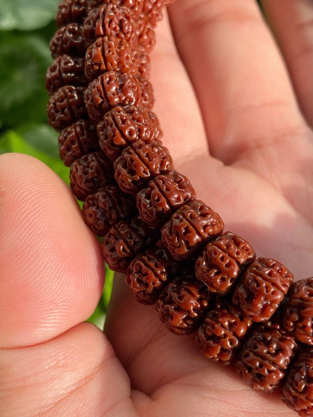 一,金刚菩提金刚菩提,三大菩提之一,虽然价格不高,也是一种可再生的非